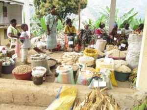 African Union Endorses Creation of Africa Food Safety Agency