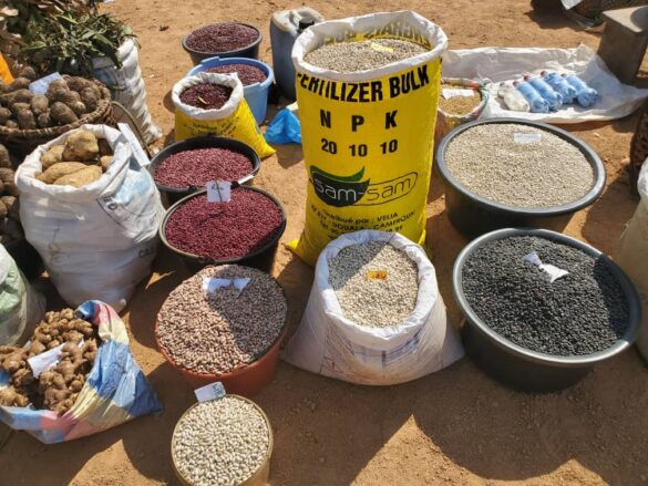 African Union Endorses Creation of Africa Food Safety Agency