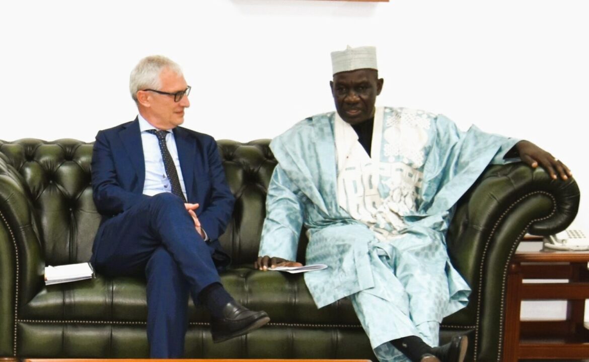 Minister ousmane mey and gianluca ferrera during the audience