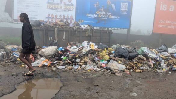 Whatsapp image 2025 08 18 at 12.19.54 pm