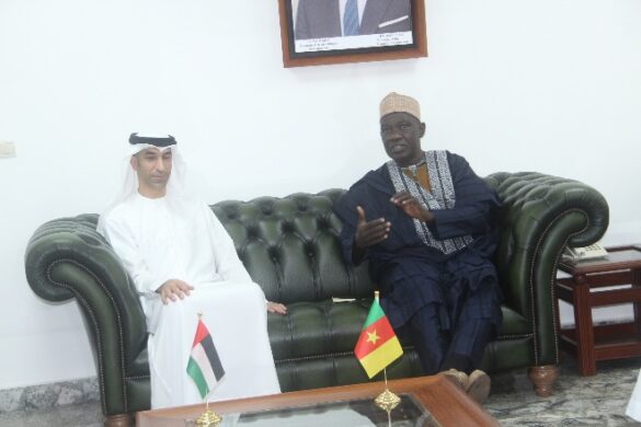 Minister Ousmane Mey and by H.E. Dr. Thani bin Ahmed at audience