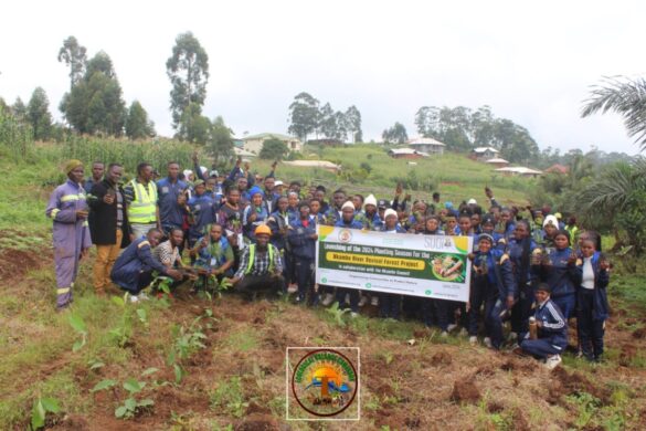 Nkambe River Revival Forest Project