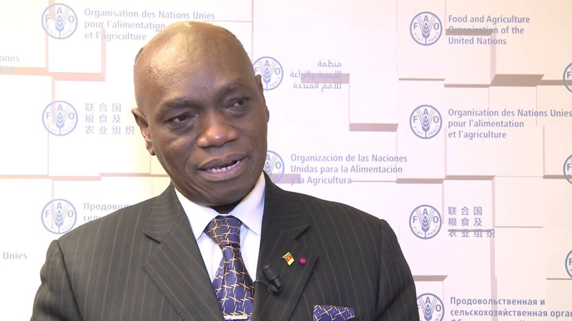 Minister Henri Eyebe Ayissi