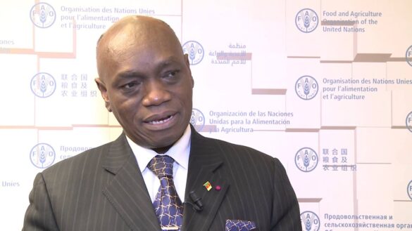 Minister Henri Eyebe Ayissi