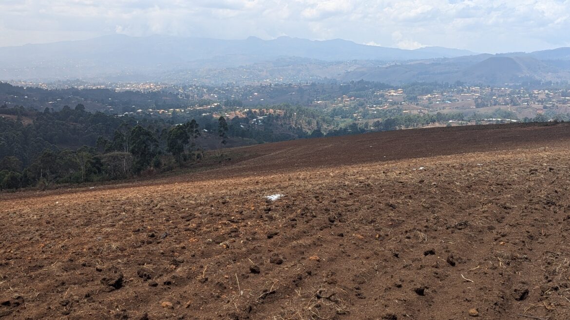 Partial view of the disputed tilled for agriculture