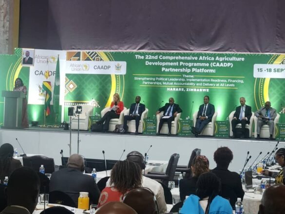 Agricultural Stakeholders Chart Way Forward for CAADP Kampala Declaration,